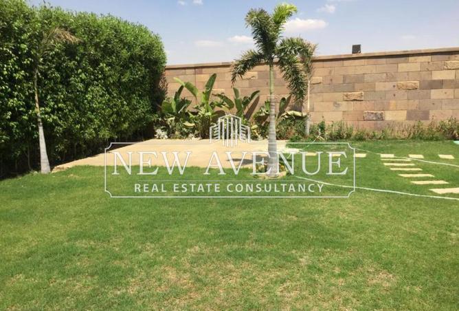 57236516 - Property Image 3