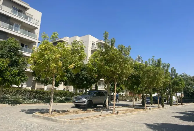 109904619 - Property Image 2