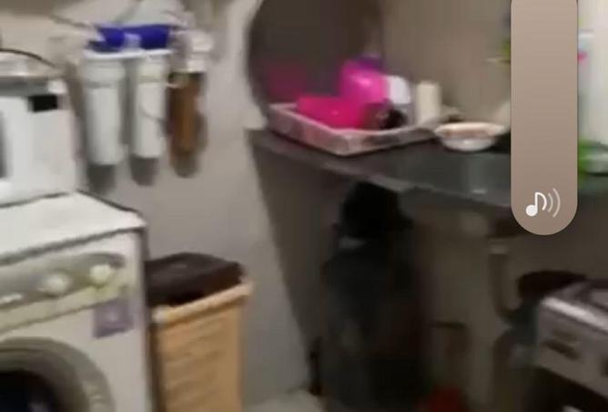 8664195 - Property Image 3