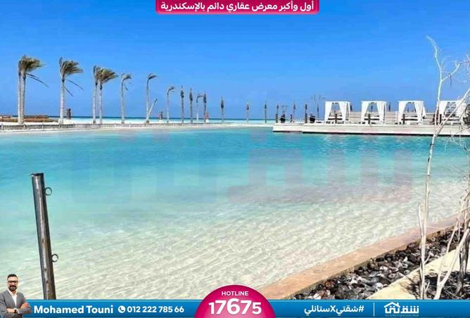 8552353 - Property Image 3