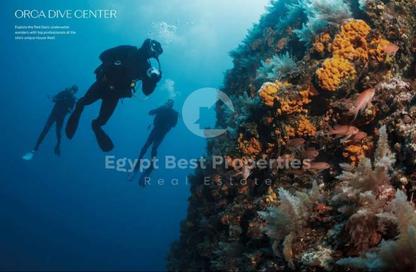 Chalet - 2 Bedrooms - 2 Bathrooms for sale in Blanca Gardens - Soma Bay - Safaga - Hurghada - Red Sea Chalet - 2 Bedrooms - 2 Bathrooms for sale in Blanca Gardens - Soma Bay - Safaga - Hurghada - Red Sea