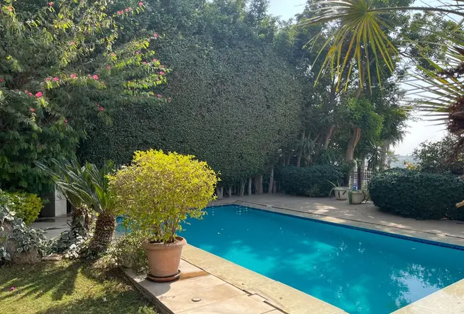 116753191 - Property Image 2