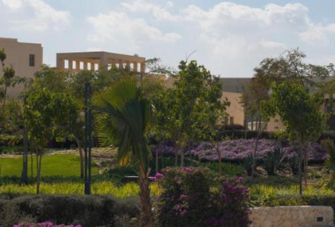 65917176 - Property Image 2