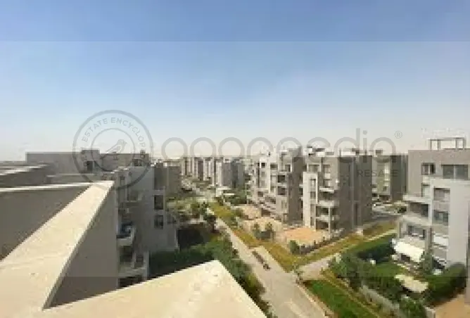111313600 - صورة العقار 3