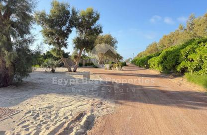 Chalet - 3 Bedrooms - 3 Bathrooms for sale in Beit Al Bahr - Sidi Heneish - North Coast Chalet - 3 Bedrooms - 3 Bathrooms for sale in Beit Al Bahr - Sidi Heneish - North Coast