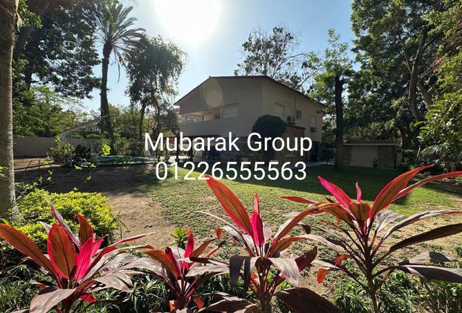 72720819 - صورة العقار 3