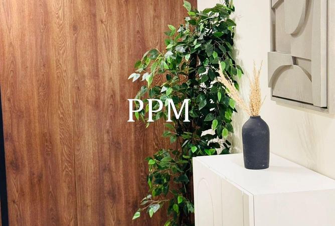 8687988 - صورة العقار 3