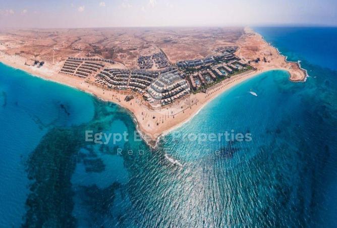 101499513 - Property Image 3