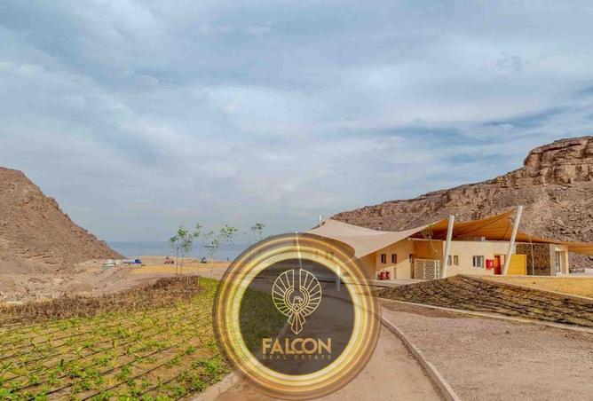 65916379 - Property Image 3