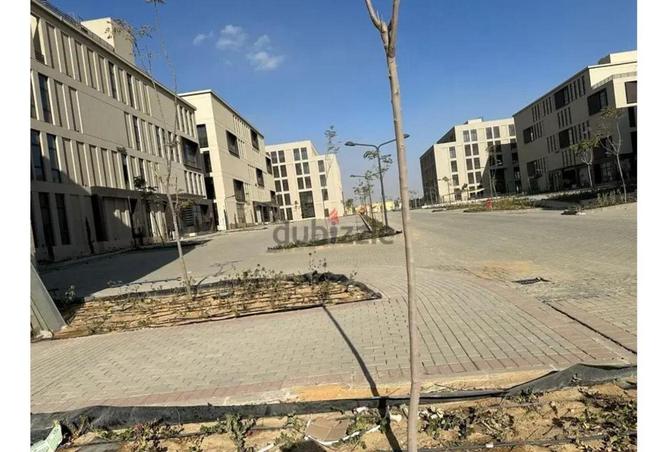 52196378 - Property Image 2