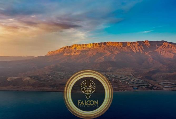 8672077 - Property Image 3