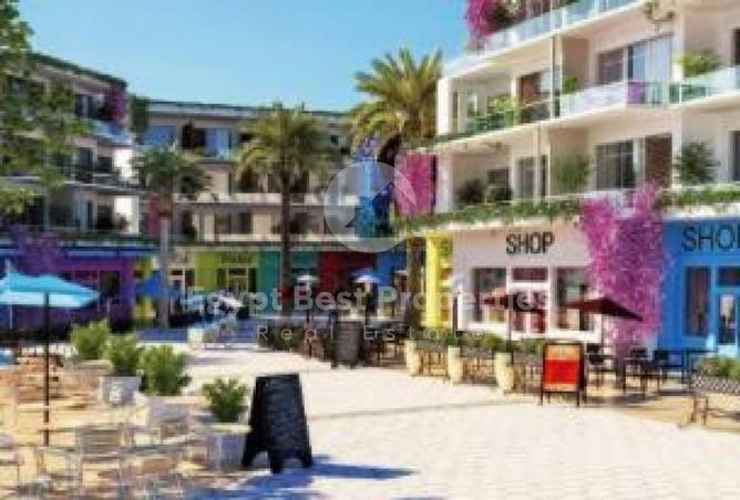 62649406 - صورة العقار 3