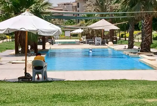 115719635 - صورة العقار 2