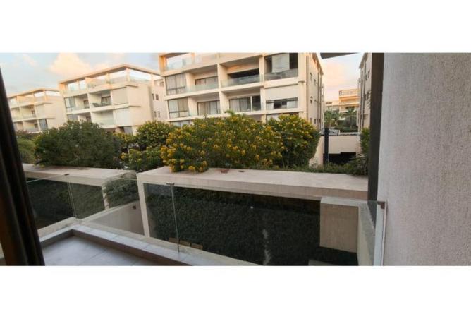 8675918 - Property Image 3