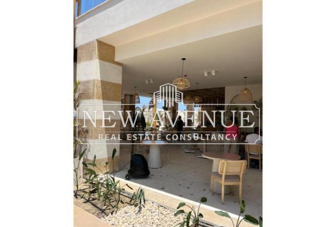 57496881 - Property Image 2