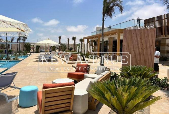 57496881 - Property Image 3