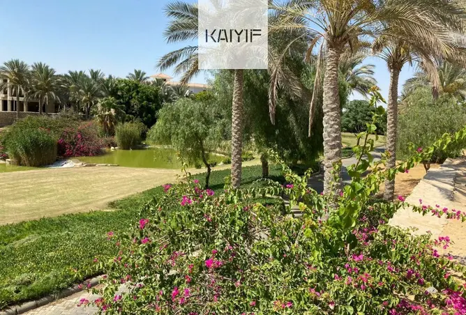 110741607 - Property Image 3