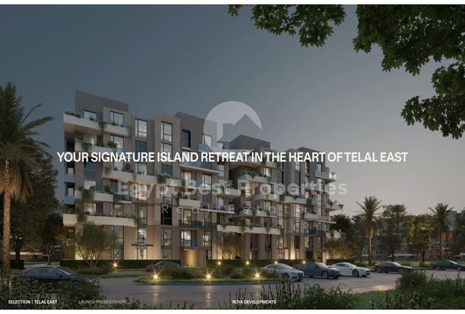 8643646 - Property Image 3