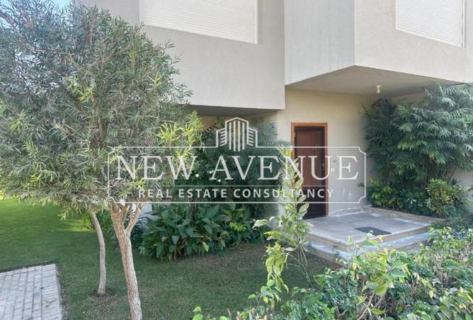 57495873 - Property Image 3