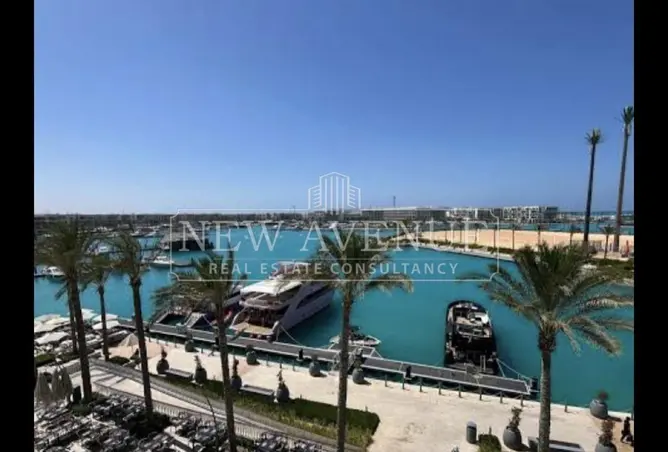120355784 - صورة العقار 3