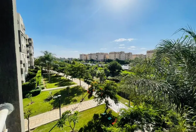 115169853 - صورة العقار 2