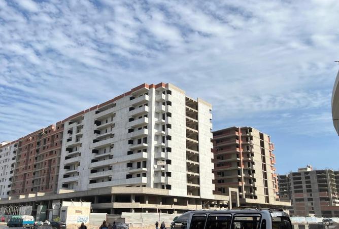 72442427 - Property Image 3