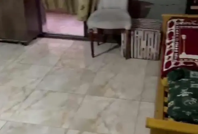 119848352 - صورة العقار 3