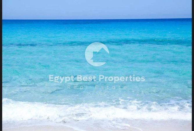 74597176 - صورة العقار 3