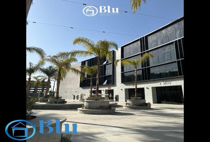 81308113 - Property Image 3