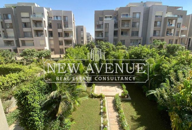 54233683 - صورة العقار 2