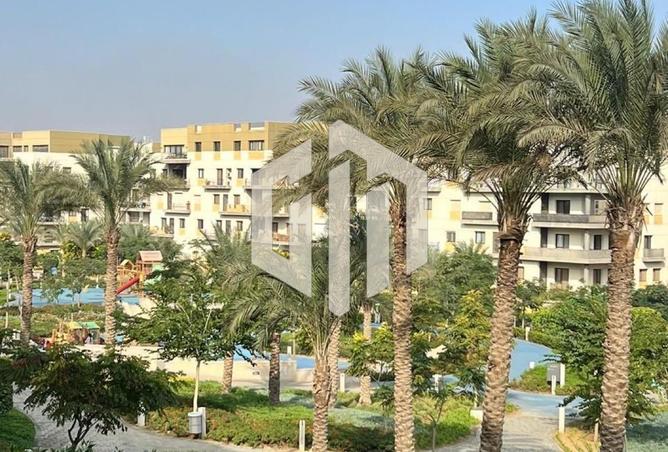 55509296 - Property Image 2