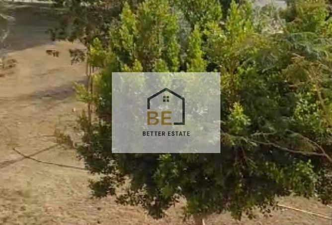 57486295 - صورة العقار 2