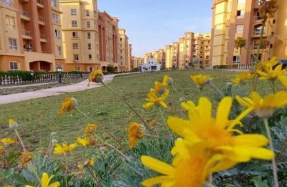 Apartment - 3 Bedrooms - 2 Bathrooms for sale in Palms - Al Wahat Road - 6 October City - Giza Apartment - 3 Bedrooms - 2 Bathrooms for sale in Palms - Al Wahat Road - 6 October City - Giza
