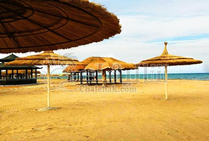 62891853 - Property Image 3