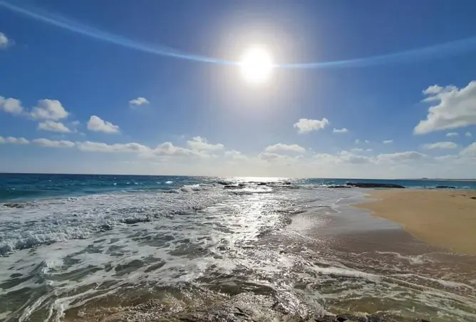 82606379 - صورة العقار 2