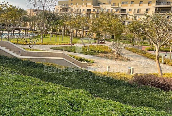 57239098 - Property Image 3