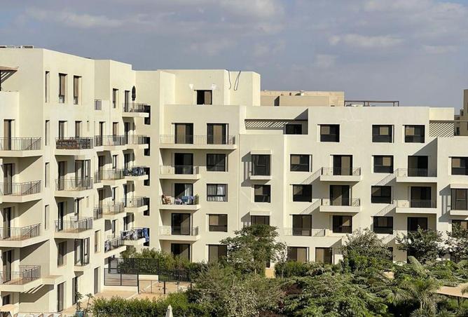 69055580 - Property Image 3