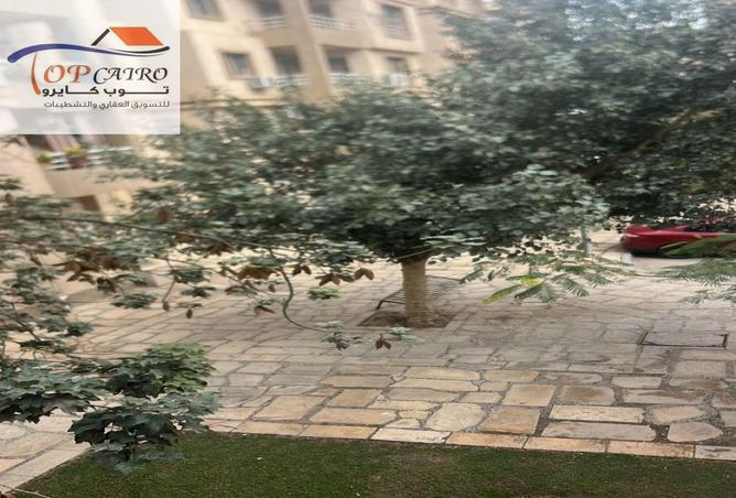 54495248 - Property Image 3