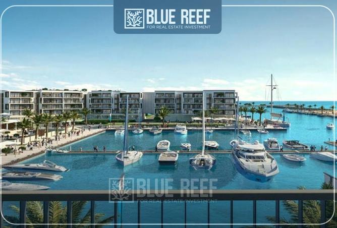 68799420 - Property Image 2