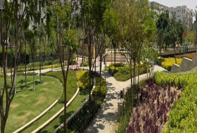 67221571 - صورة العقار 2