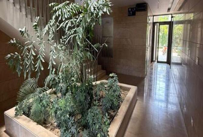 67221571 - الصورة الرئيسية للعقار