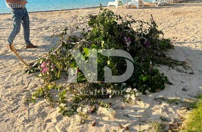 كبينه - غرفة نوم - 1 حمام للايجار في هاسييندا باي - سيدي عبد الرحمن - الساحل الشمالي