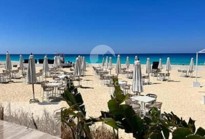 70372484 - Property Image 2