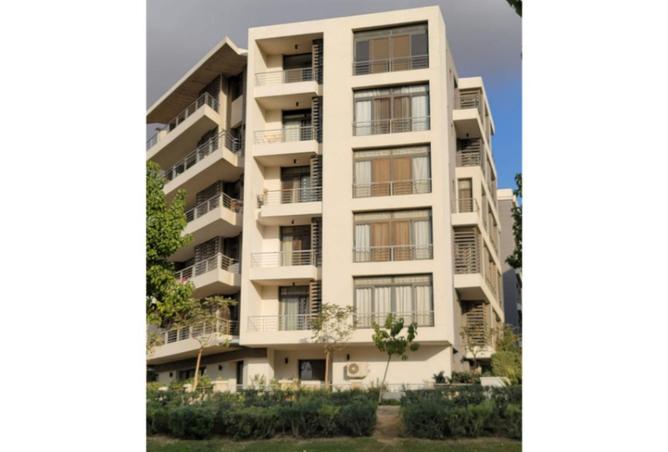 55755855 - صورة العقار 3