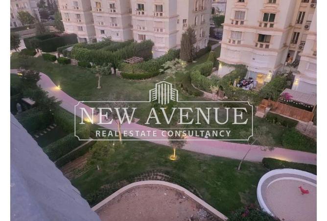 58498405 - Property Image 3