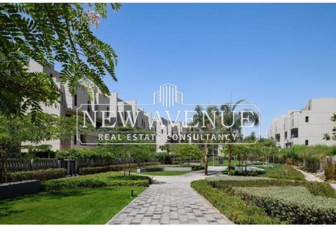 70626206 - صورة العقار 3