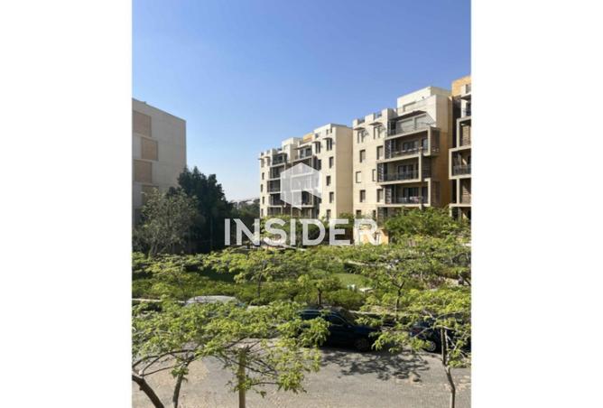 64650882 - صورة العقار 2