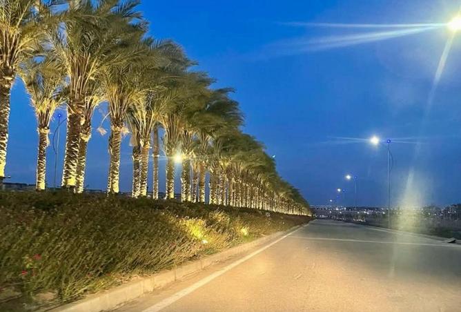 65661674 - صورة العقار 3