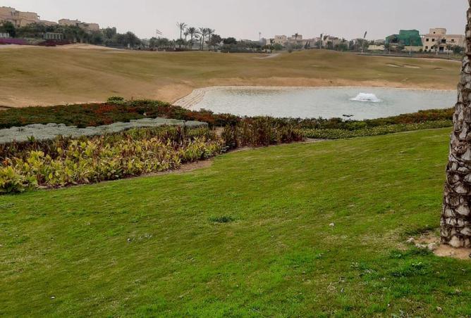 8590655 - Property Image 3