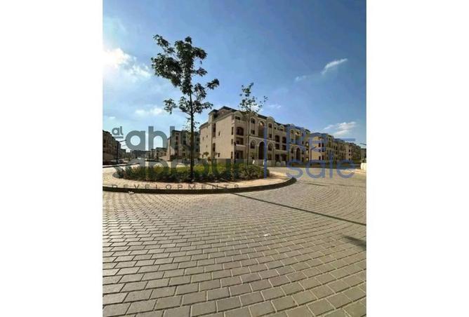 70365368 - صورة العقار 3